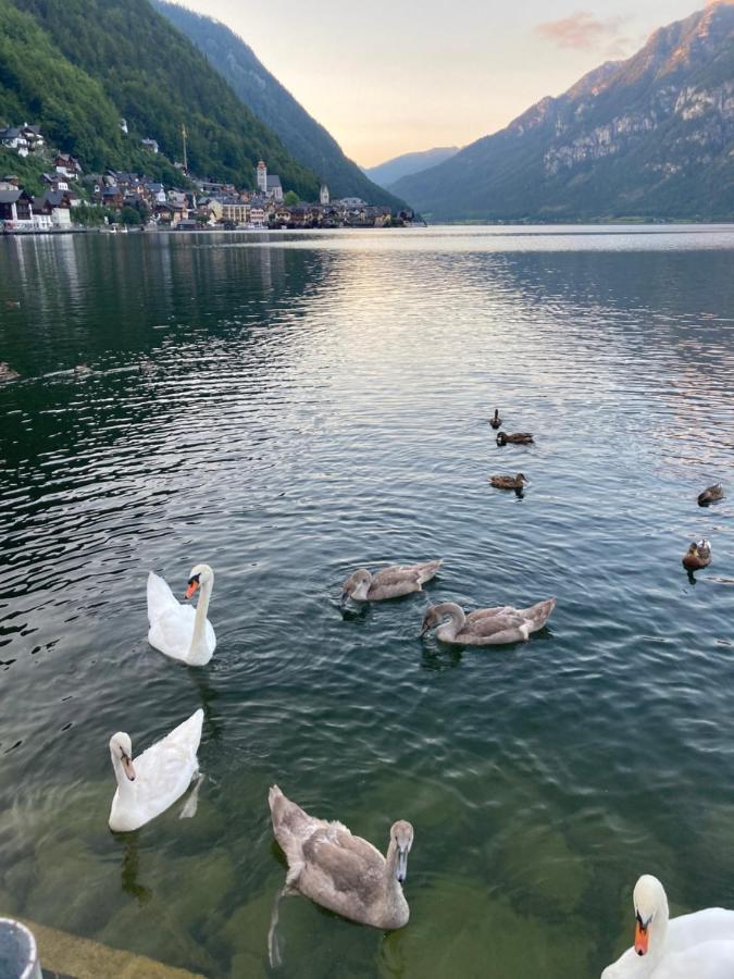 Hallstatt Lakeside Top 4 - Zimmer Mit Balkon Extérieur photo